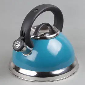 Adrinfly 313047226204 12-cup Stainless Steel Stovetop Whistling Kettle In Aqua Color With Aluminum Cap