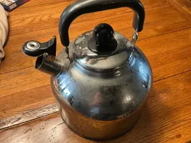 Wp1924 Ballington Stainless Steel Whistling Tea Kettle Large 7 Quart Teapot With Mesh Infuser