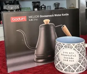 Bodum 27oz Electric Kettle 0.8l Gooseneck Stainless Steel Water Matte Black
