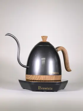 Ba6vk Brewista Artisan Kettle 600ml Gooseneck Variable Temp Electric Pour Over Filter
