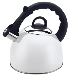50421 Culinary Edge Kettle Used
