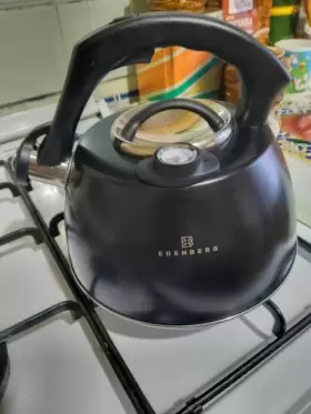 Wv22 Edenberg Tea Kettle Stainless Steel Black