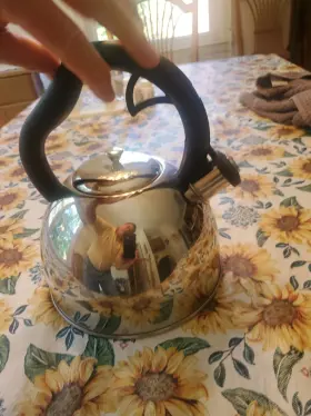 Qq13c Farberware Stainless Steel Whistling Tea Kettle 2quart Exccond