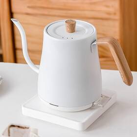 Gavigain Gavigainms9cyedh2p Electric Gooseneck Kettle Quick Heating Stainless Steel Inte