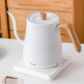 Gavigainms9cyedh2p Gavigain Electric Gooseneck Kettle Quick Heating Stainless Steel Inte