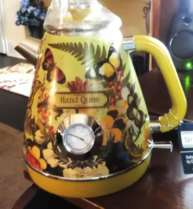 Fsh002 Hazel Quinn Retro Electric Kettlle W Flowers And Butterflies All Stainless Steel