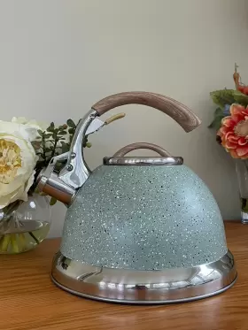 1119 Home David Burke 2.7 Quart Tea Kettle Stainless Steel