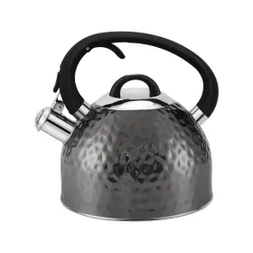 Hrhongrui 615715251007 Copper Tea Kettle Stainless Steel Teapot Whistling Unique Button Contr