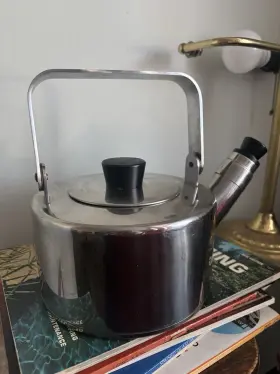 603.602.21 Ikea Metallisk Stainless Steel Kettle