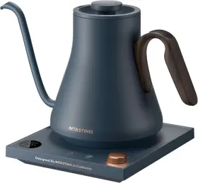 Intasting 313112768721 Electric Kettles Gooseneck Kettle 1 Temperature Control