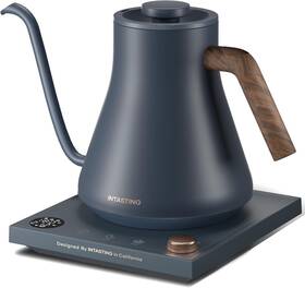 Intasting 445020662600 Electric Kettles Gooseneck Kettle 1 Temperature Control