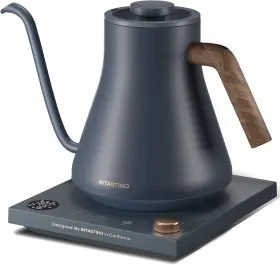 Intasting 445020662600 Electric Kettles Gooseneck Kettle 1 Temperature Control