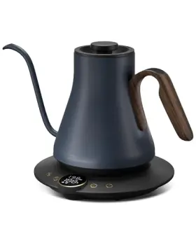 Intasting 850048304499 Gooseneck Electric Kettle 1 Temperature Control Stainless