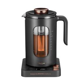 Intasting Hsk2838 1l Glass Electric Tea Kettle Infuser Temp Control 1200w Dark Gray