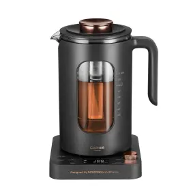 Hsk2838 Intasting 1l Glass Electric Tea Kettle Infuser Temp Control 1200w Dark Gray