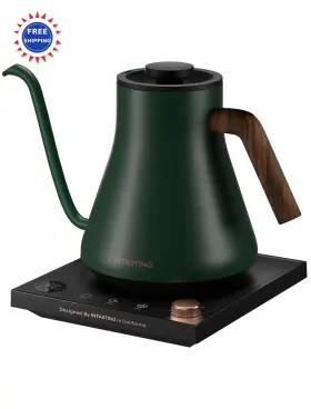 Uscin1016 Intasting Electric Kettles Gooseneck 1 Temperature Control Stainless Steel 0.9l Hunter