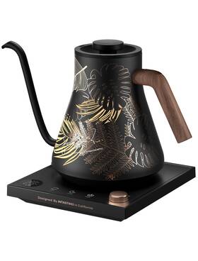 Intasting Uscin1031 Electric Kettle Stainless Steel Gooseneck 1 Temperature Control 0.9l