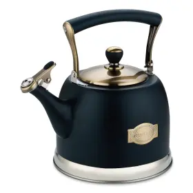 Lazneyru 717225957520 Tea Kettle Stainless Steel Teapot Teakettle For Stove Top Wi