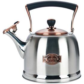 Lazneyru Ll02-silver 3.0 Quart Tea Kettle Stainless Steel Teapot Heat Proof Ergonomic Handle