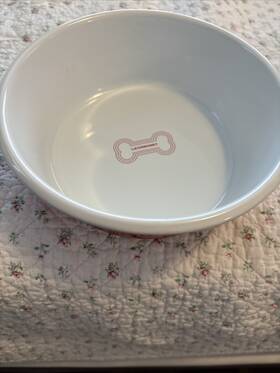 Le Creuset Eep100b-16214 Nwt Enamel On Steel Medium Dog Bowl 4 Cups Red 7 Inch