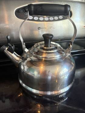 Le Creuset N61021 Tea Kettle 1.7 Quart Stainless Steel