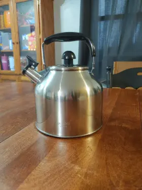 G400 Max Cook Stainless Steel Tea Kettle