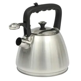 143789.01 Mr. Coffee Armidale Large 2.5 Quart Brushed Stainless Steel Whistling Tea Kettle