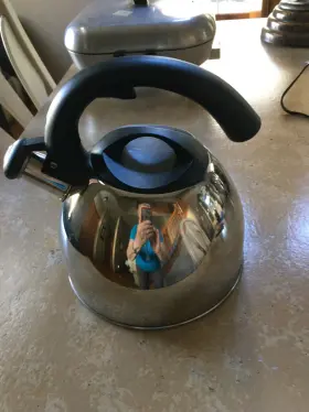 72788.02 Mr. Coffee Stainless Steel Whistling Tea Kettle 2 Quart Ergonomic Design