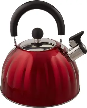 Mr. Coffee 992962614893 Twining 2.1 Quart Pumpkin Tea Kettle - Red Whistling
