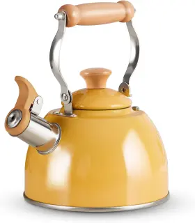 Rockurwok 445006474463 Tea Kettle Pot With Cool Touch Ergonomic Handle Food