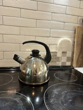 Saladmaster 316ti-titanium Whistling Tea Kettle 1.5 Quart