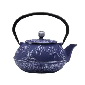 Sechudo 711271870079 Cast Iron Teapot Tea Kettle With Stainless Steel Infuser For Stovetop Safe Co