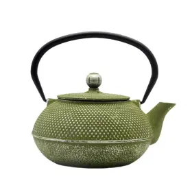 Sechudo 711271870116 Cast Iron Teapot Tea Kettle With Stainless Steel Infuser For Stovetop Safe Co