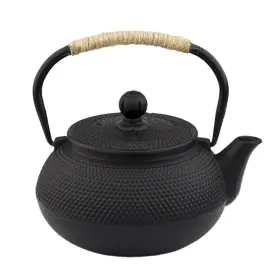 Sechudo 727536362715 Japanese Tetsubin Cast Iron Teapot Tea Kettle Pot With Stainless Steel Infuse