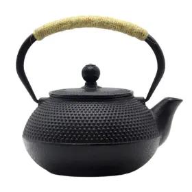 Sechudo 727536362722 Japanese Tetsubin Cast Iron Teapot Tea Pot With Stainless Steel Infuser For S