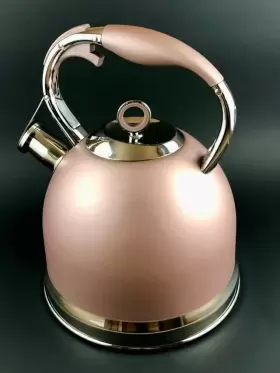 Sus304 Sotya Stainless Steel Whistling Kettle - Bronze Scratch And Dent