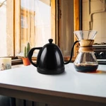 Stainless Steel Gooseneck 0.8L 800W Pour Over Electric Kettle Drip Coffee Tea New. Price: $38.99.