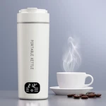 Dual Voltage Portable Electric Kettle Travel Hot Water For Tea, Coffee, 6 Temper New. Price: $38.72.