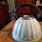 Dolly Parton Whistling Green White Speckled Enamelware Tea Kettle Clean 3.3 Qt Used. Price: $24.99.