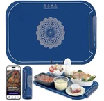 Reezee Electric Silcone Food Warmer New. Price: $15.00.