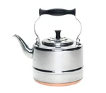 Bonjour Tea Kettle 8-CUP Stovetop Vintage Silver Stainless Steel Gooseneck Spout New. Price: $100.00.