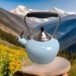 Chantal Aqua Enamel-on-steel Whistling Teakettle 2 Qt Stay-cool Handle Tested Used. Price: $16.00.