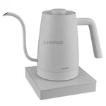 Hario ECK-80-W Electric Kettle 800ML Temperature Control 100V White Coffee Jp New. Price: $197.49.