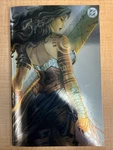 Absolute Wonder Woman #17 - Tyler Kirkham Signed Virgin Foil Ltd 1000 W/coa Unspecified. Price: $49.99.
