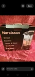 Narcissus KP-803 Electric Glass & Steel Kettle 1.8L Removable Infuser New. Price: $39.84.