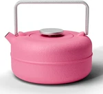Teapot With Removable Infuser, Cast Iron Kettle Stovetop Safe, Solid Geom... New. Price: $52.99.