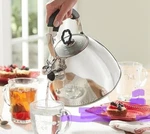 Princess House Heritage 6892 Stainless Steel Whistling Kettle Silver New. Price: $145.00.