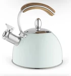 Pinky Up Presley Tea Kettle Stovetop Stainless Steel Pistachio New Wot Used. Price: $20.00.